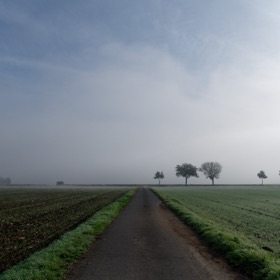 Route de campagne dans la brume, bordée d'arbres, photographiée par Jérôme Martin